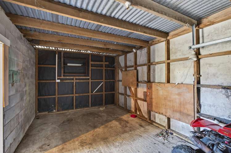 4/311 Carrington Street Vogeltown_19