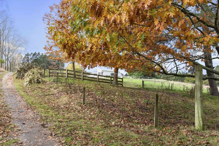 716 Oruanui Road Oruanui_11