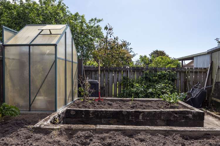 46 Richard Street Opotiki and Surrounds_27