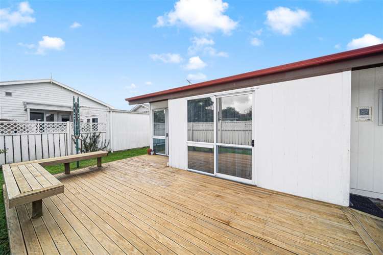 38a Victor Street Avondale_8