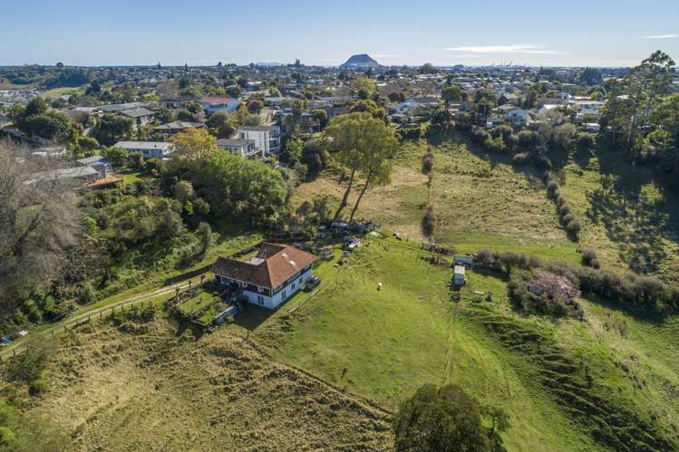 7 Townhead Crescent Bethlehem_10