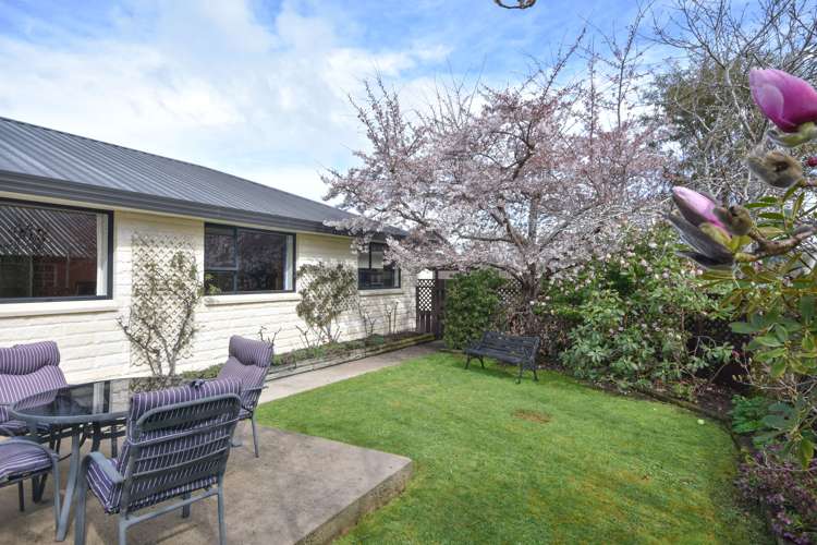 139 North Taieri Road Abbotsford_14