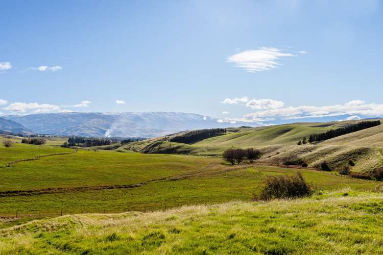 187 Hawksburn Road Nevis_28