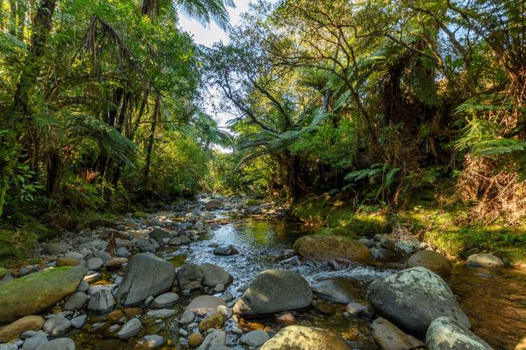 35 Hume Road Aongatete_31