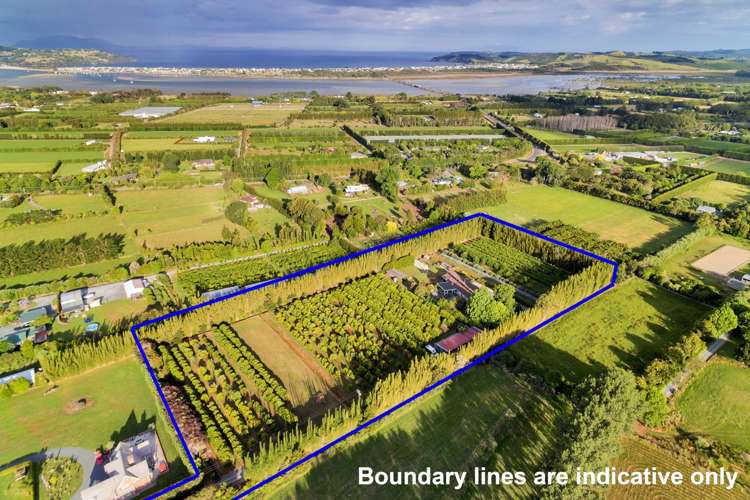 144 Omaha Flats Road Tawharanui Peninsula_1