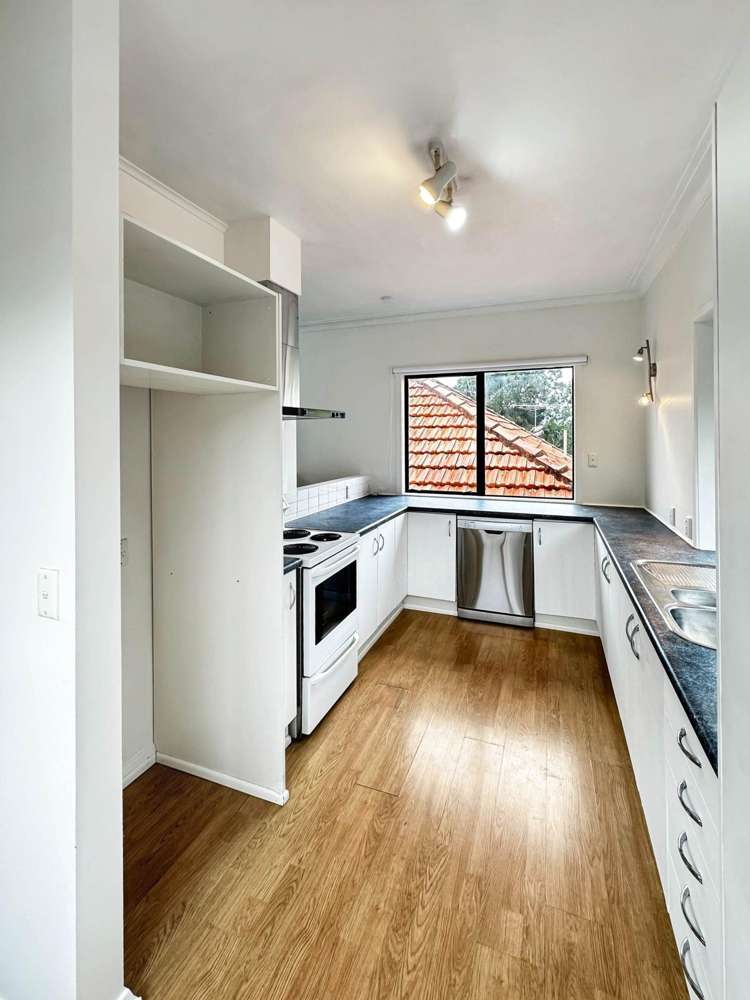 Lingarth Street Remuera_4