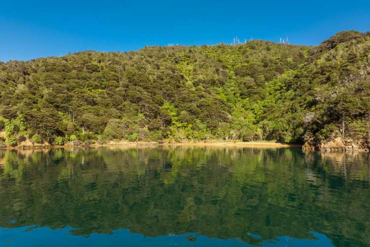 Cherry Bay, Ruakaka Bay Marlborough Sounds_18