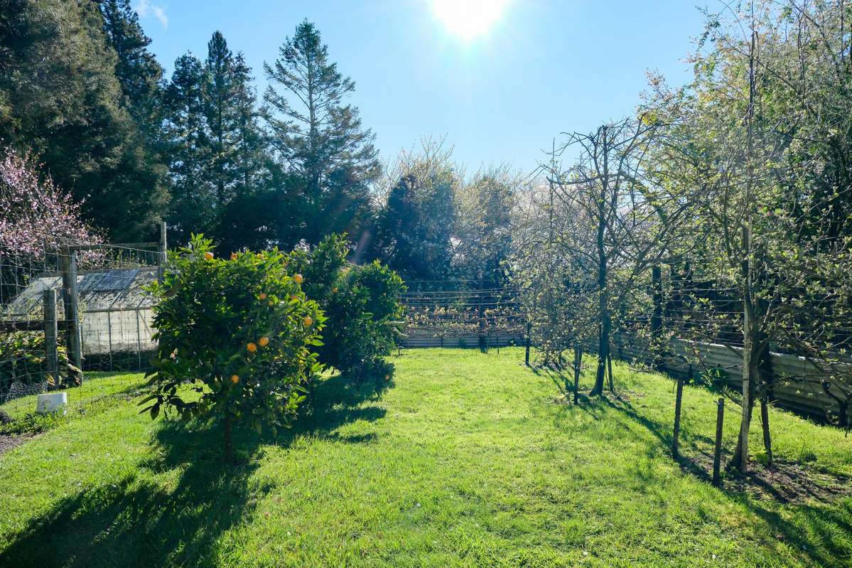 442 Te Waerenga Road_4