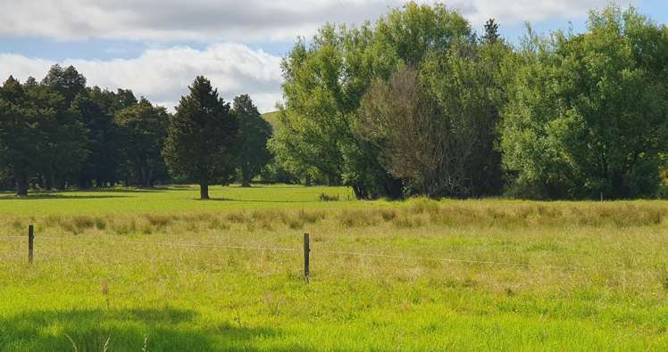 1241 Ararua Road Ararua_13