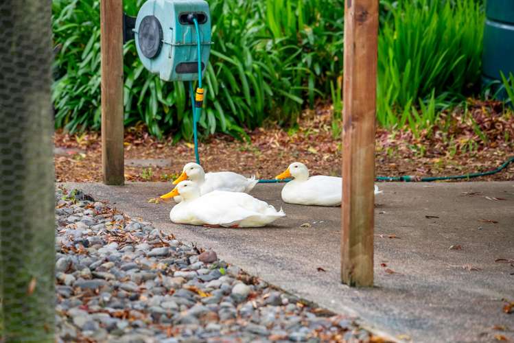 43b Nairn Road Hunua_15