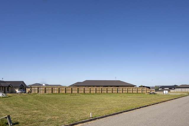 36 George Street Bulls_4