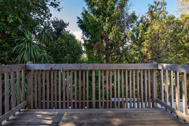 8A Thanet Avenue Sandringham_8