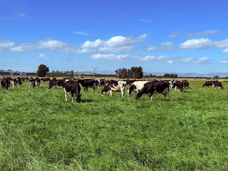 867 Hundred Line Road East South Hillend_2