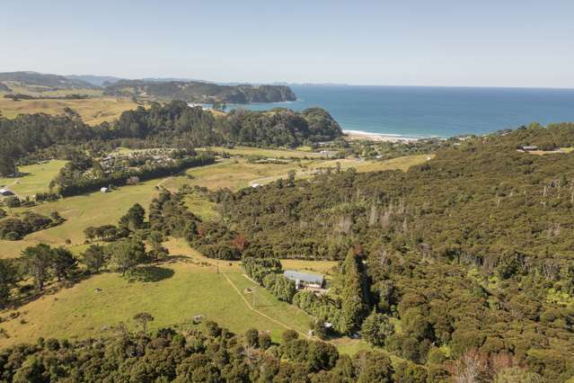 Lot Lot 1/104 Taiwawe Lane Hot Water Beach_2