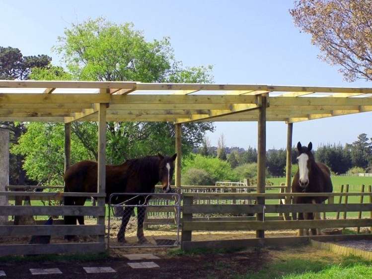 1363 Wellington Road Marton_22