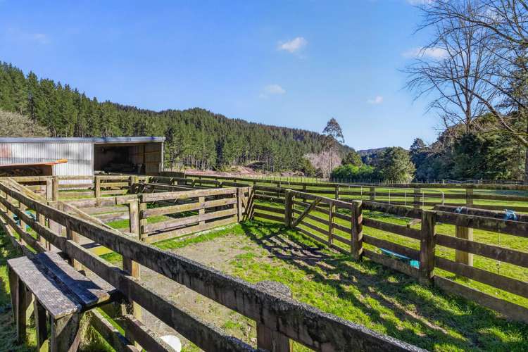 1513 Hikumutu Road Taumarunui_22