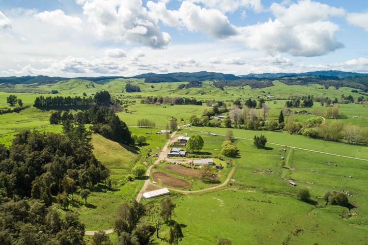 557 Tadmor-Bushend Road Tapawera_9