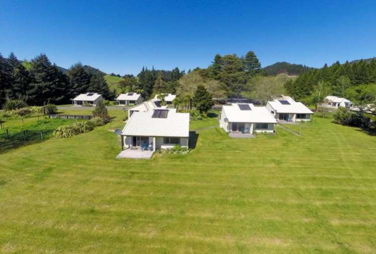 Fitzroy/7090 Mount Richmond Estate Rai Valley_6