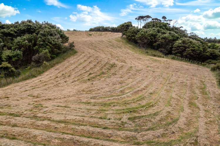 30 Young Garden Lane Waimauku_7