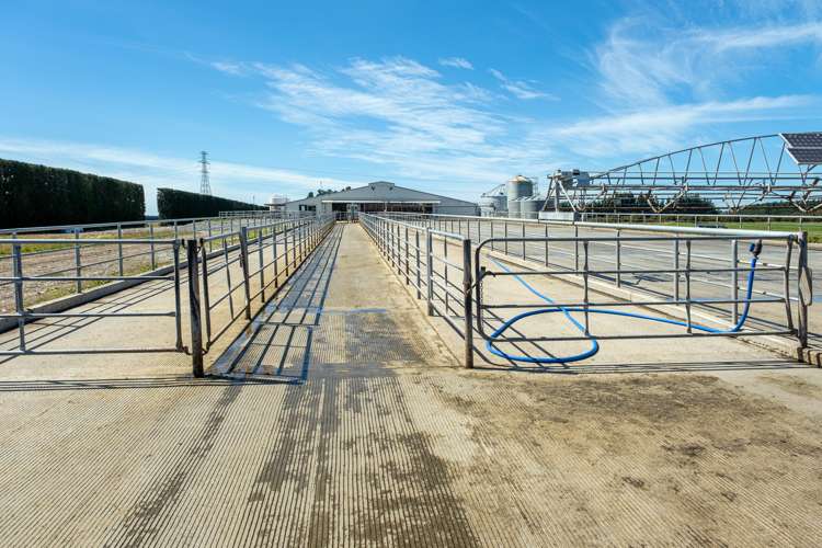 311 Knyvetts Road Southbridge_11