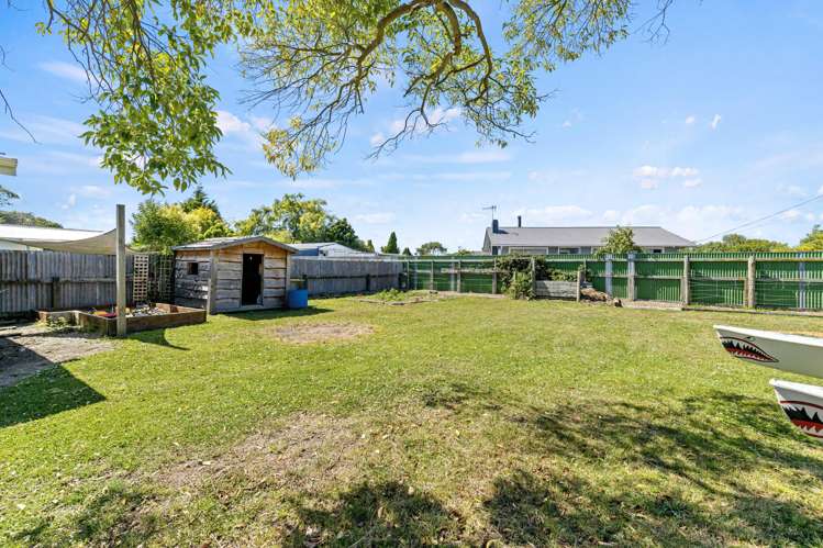 11 Flower Street Bulls_14