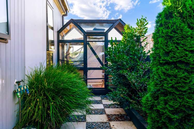 158 Rimu Street Te Kauwhata_24