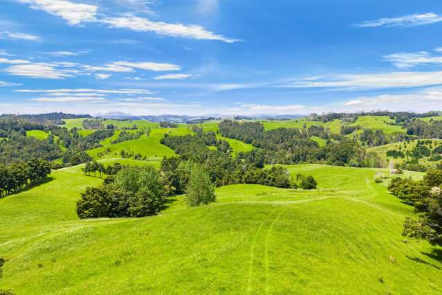 Large lifestyle or run off