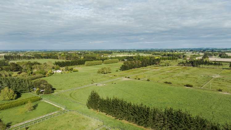 311 Kairanga Bunnythorpe Road Bunnythorpe_27