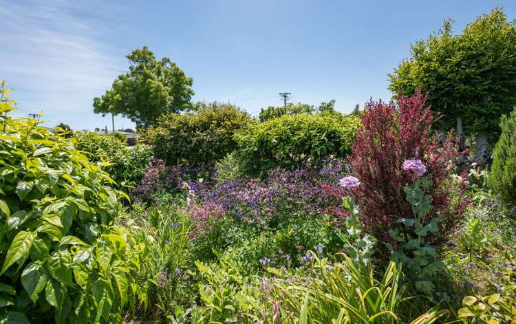 24 Croucher Street Richmond_18