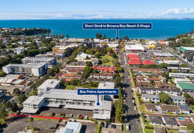 D1/30 Bute Road Browns Bay_31