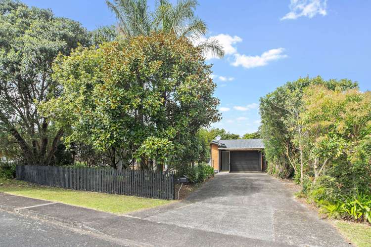 6 Palm Court Drive Glen Eden_15