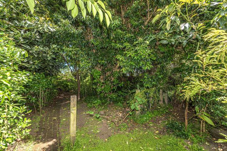 41 Gloag Street Waverley_22