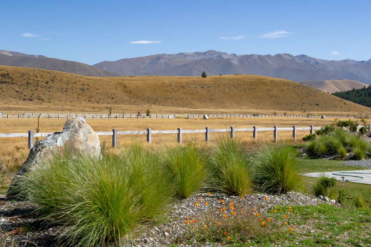 Merino Downs_3