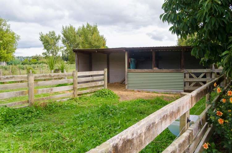 215 Wood Street Woodside_16