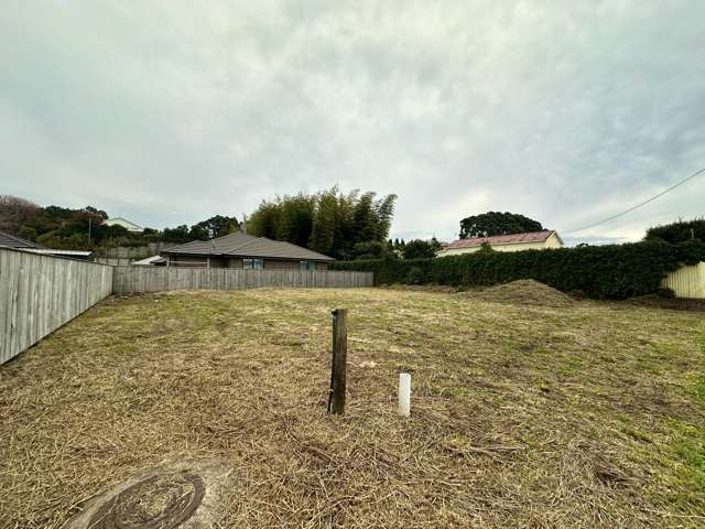 43 Grey Street Waitara_2