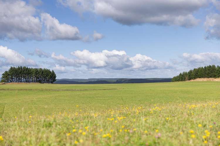 - Airstrip Road Pikowai_6