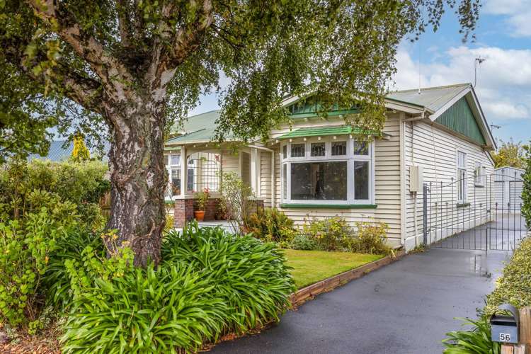 56 Bellvue Avenue_0