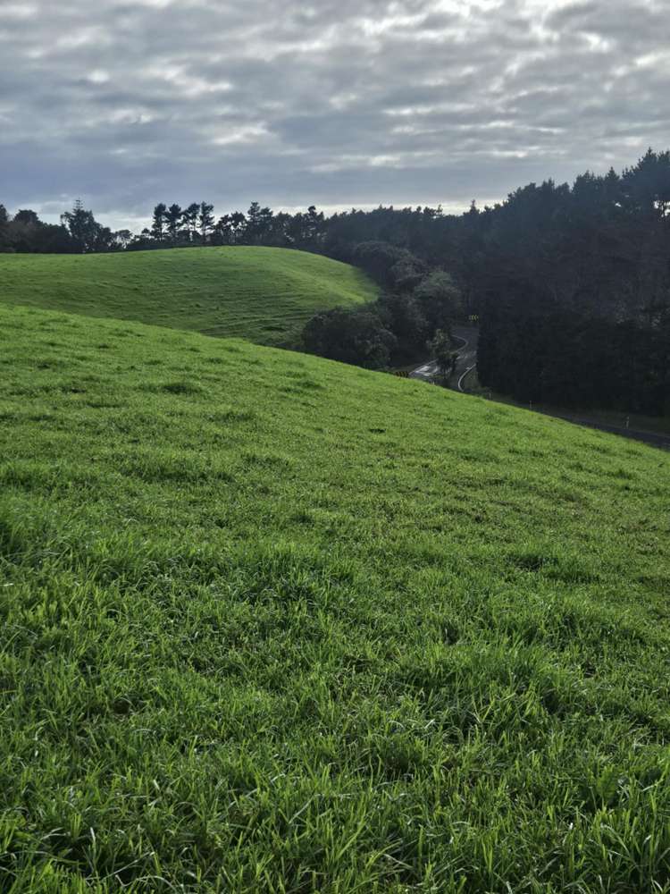 2299 State Highway 1 Waiharara_11