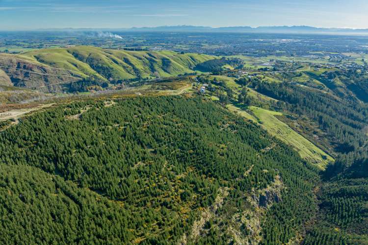 361 Worsleys Road Cashmere_9