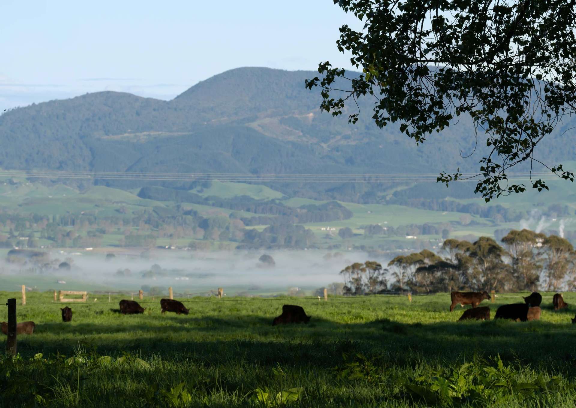 Deep Creek Road Reporoa and Surrounds_0