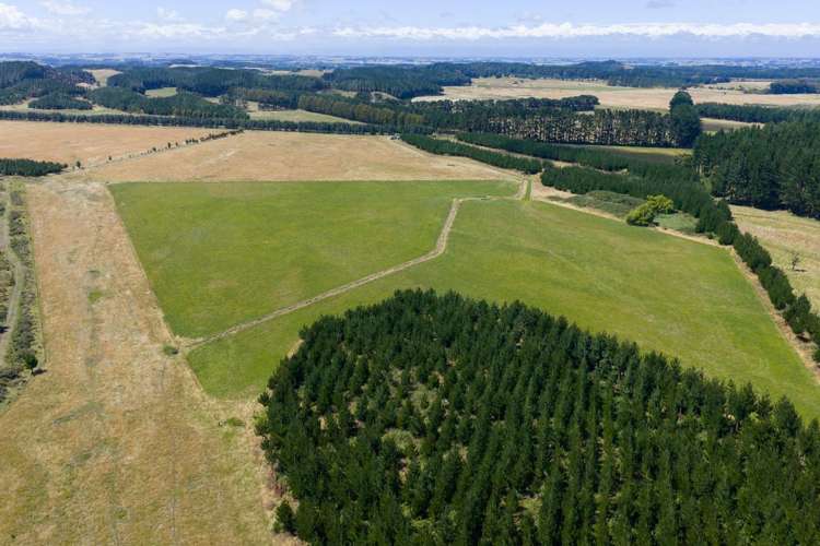 590 Brandon Hall Road Bulls_11