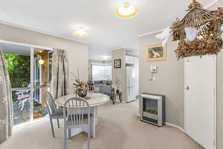 15a Peachgrove Road Hamilton East_5