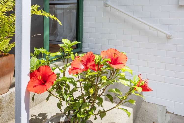 1/10 Frank Evans Place Henderson_7