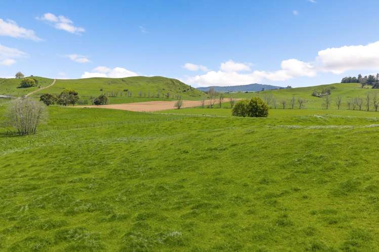 58 Nicholson Road Piarere_17