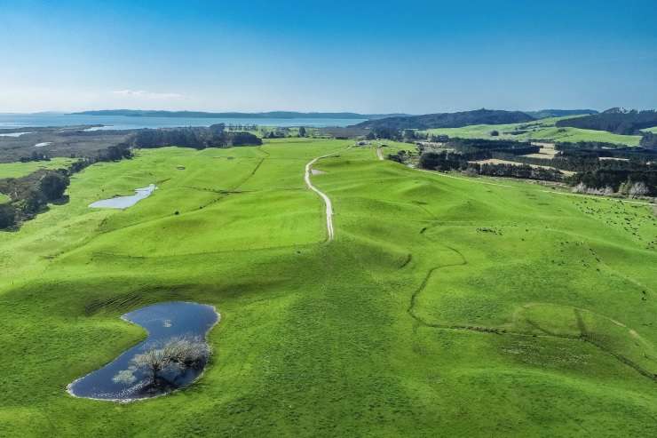 Awana Beach House, on Great Barrier Island, is typical of the high-end coastal homes that have recently hit the market. Photo / Supplied