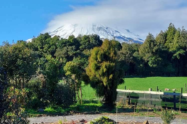 292 Upper Puniho Road Newall_29