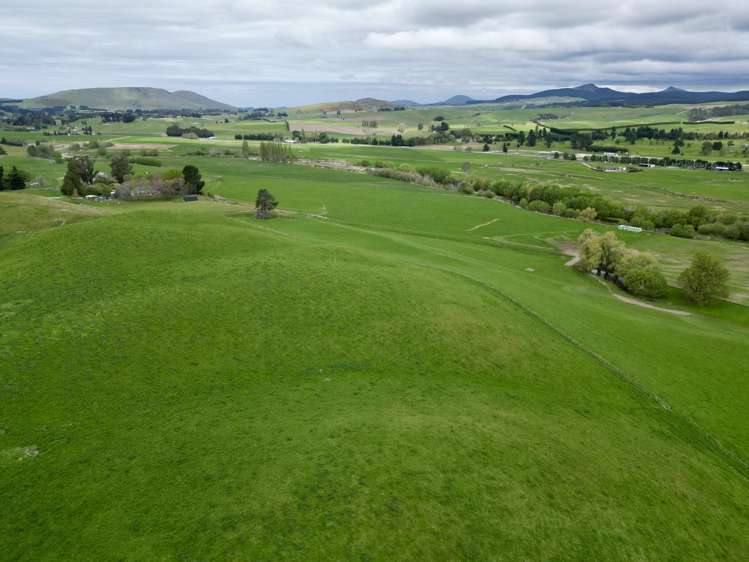 Palmerston-Dunback Road/Switchback Road Palmerston_19