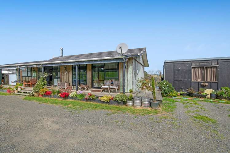 211 Wilson Road Helensville_5