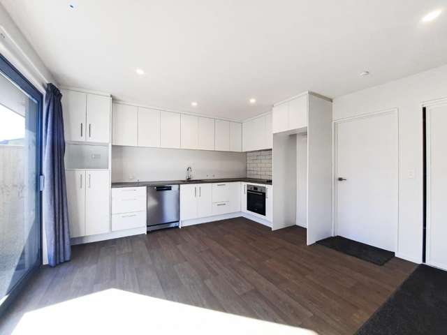 1/19 Harrison Drive 11103_2