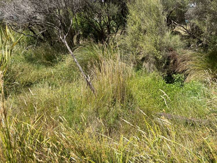 Castle Hill Road Eketahuna_7